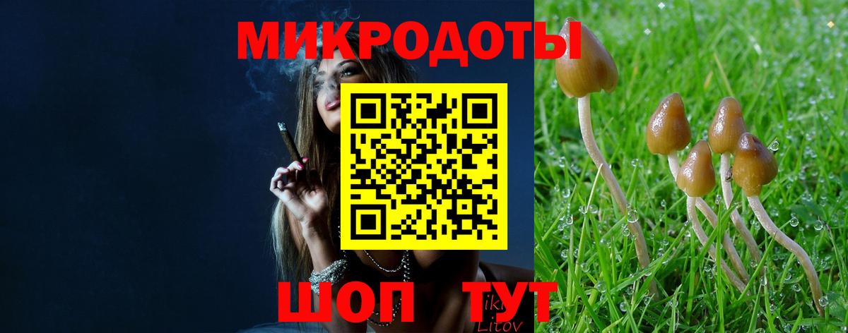 Галлюциногенные грибы MAGIC MUSHROOMS Павлово