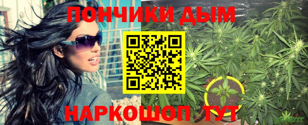 Бошки Шишки гибрид  Канабис ГИДРОПОН  Бошки марихуана план  Павлово  МАРИХУАНА сатива 